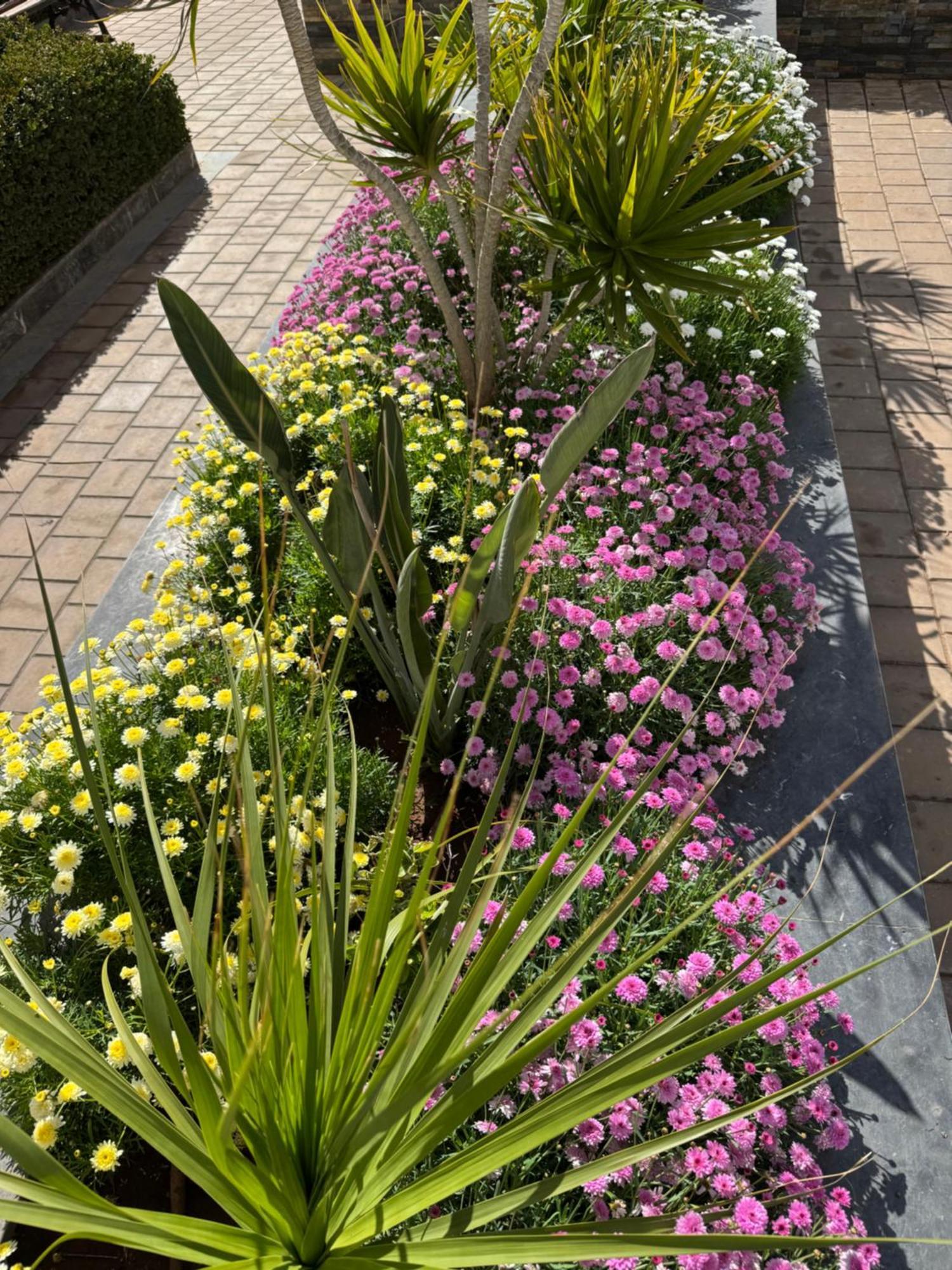 קזבלנקה Appartement Luxueux Casa Nearshore מראה חיצוני תמונה